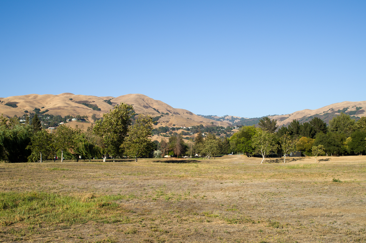 View of the hills from Penitencia Park