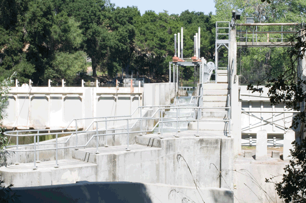Fish Ladder
